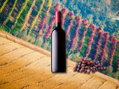 Lambrusco
